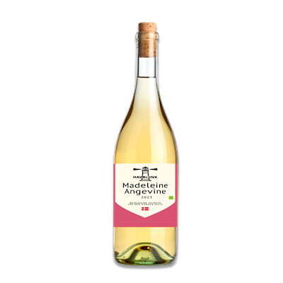 Havblink Madeleine Angevine 2023